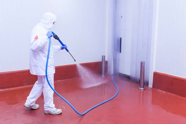 Best Restaurant Pressure Washing  in Ocala, FL