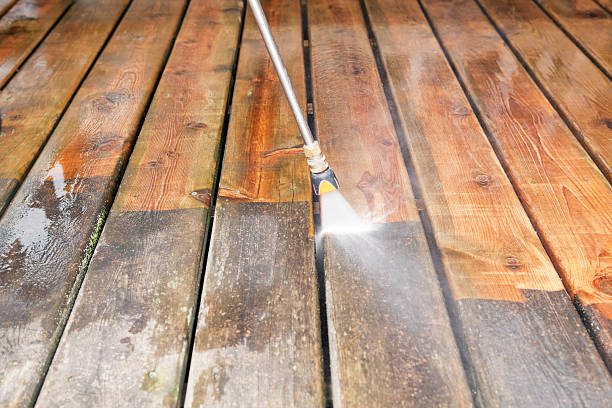 Best Animal Enclosure Cleaning  in Ocala, FL